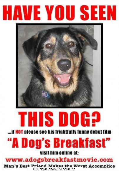 A Dog�s Breakfast (Dvdrip 2007) - Info: Download: sau - Comedii